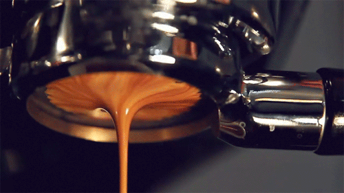 Các dòng máy pha cà phê