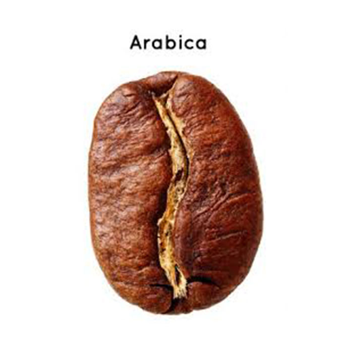 cà phê Arabica
