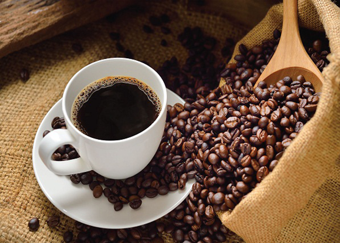 Tại sao Kopi Luwak coffee lại đắt đỏ-1