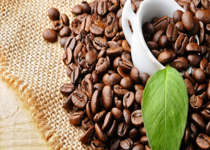Đặc điểm của cà phê nguyên chất Buôn Ma Thuột-2